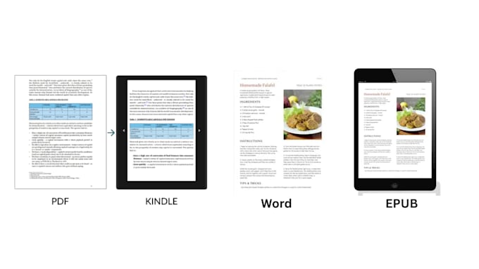 professionally format, edit, and convert your ebook