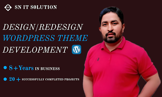 build a custom wordpress website, theme or plugin