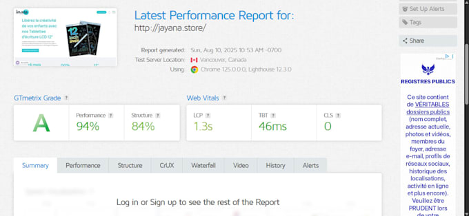 create a professional and SEO optimized wordpress website