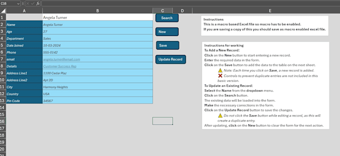 custom excel forms with automated data entry and management