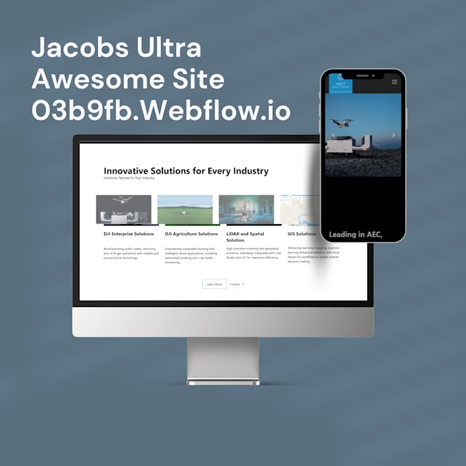 create professional webflow website with custom animations and cms