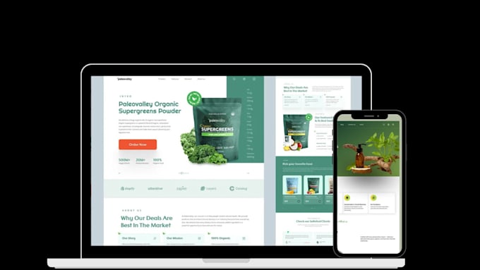 design a high converting shopify store USA based high ticket coaching programs