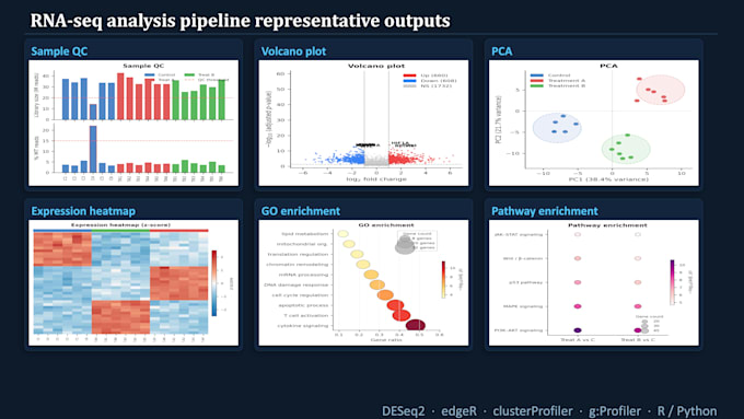 do bulk rnaseq analysis with differential gene expression, go, pathway analysis