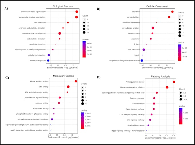 do network pharmacology, molecular docking and simulation