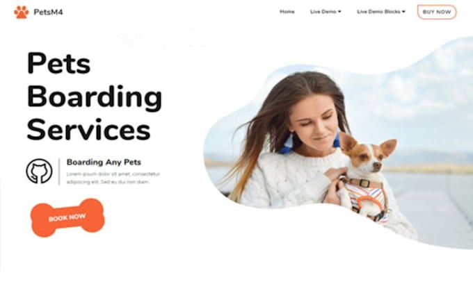 build squarespace dog walker website exotic pet care website pet adoption site