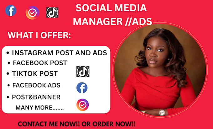 be social media executive virtual assistant post image ads  instagram linkedin