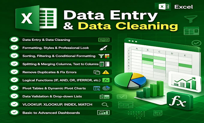 do accurate data entry, cleaning and formatting in excel