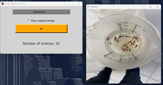 develop your image recognition project