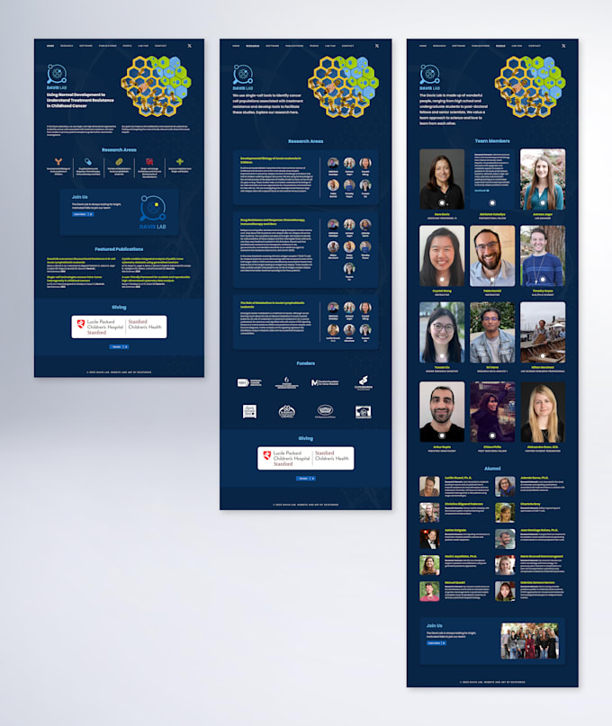 design your website from wireframe to live launch