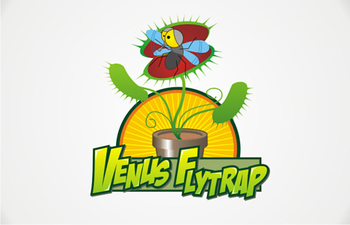 design a creative and unique gift and occasion logo