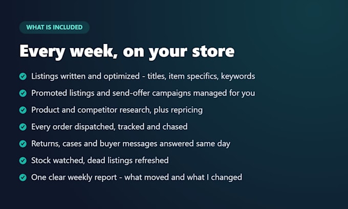 manage your ebay store, listing optimization, orders and promotions
