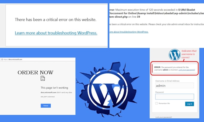 customize wordpress, fix wp error, edit theme,template, css, plugins