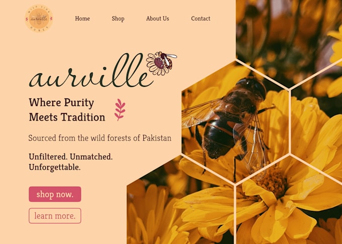 create user friendly and visually engaging UI UX designs