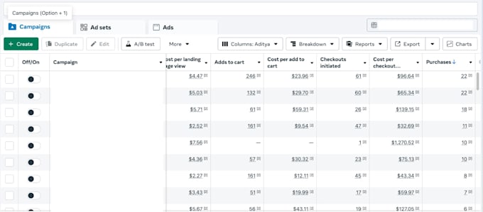 run targeted meta ads to generate leads