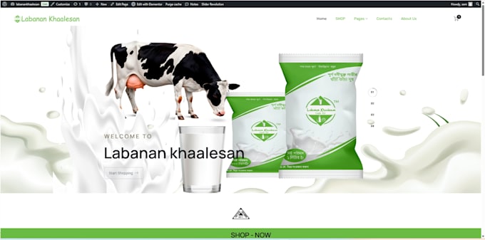 do modern website development custom wordpress solutions