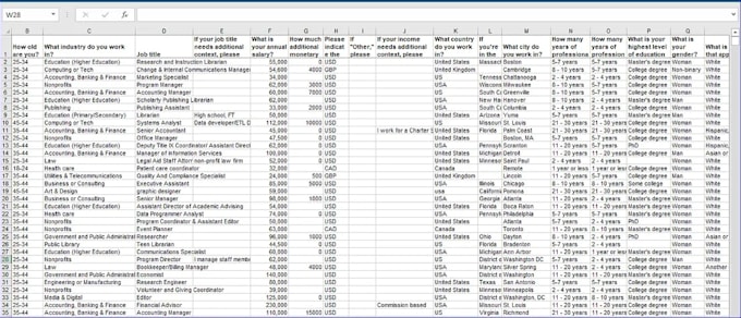 clean, organize, and automate excel or google sheets data entry tasks profession