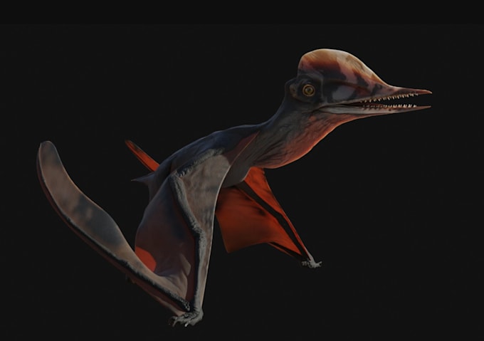 model germanodactylus, hemidactylus, creature design, bird creature,dinasaur rig