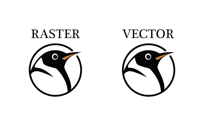 vectorize logo, vector tracing, adobe illustrator