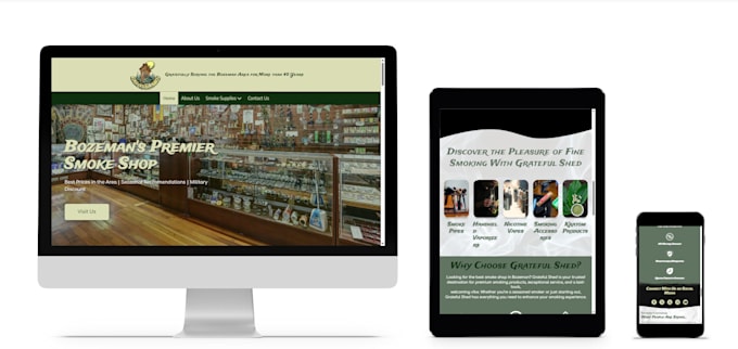 design a mobile friendly and SEO ready website for you