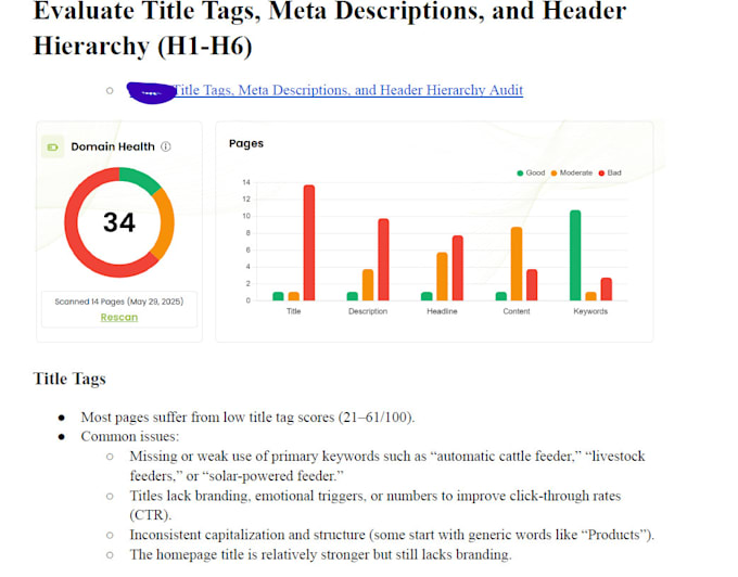 do full SEO and lead capture audit and action plan
