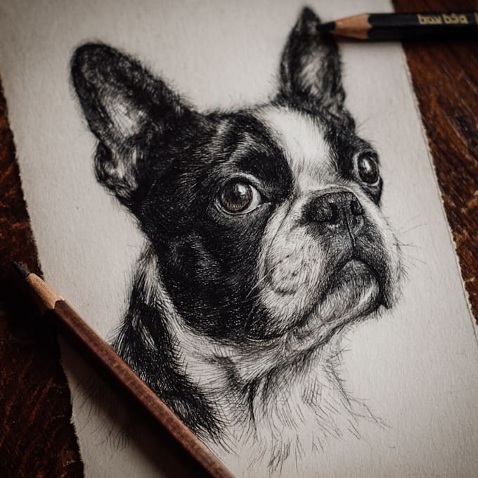 draw your pet portrait with the pencil sketch