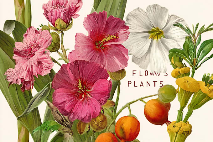 unique botanical illustration art for you