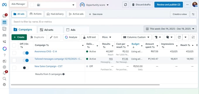 set up and manage profitable meta ad campaigns for sales