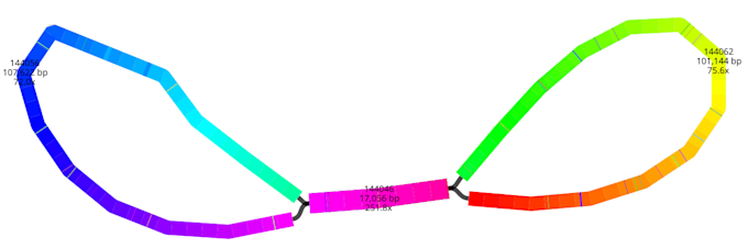 assemble your chloroplast genome from whole genome sequencing short reads