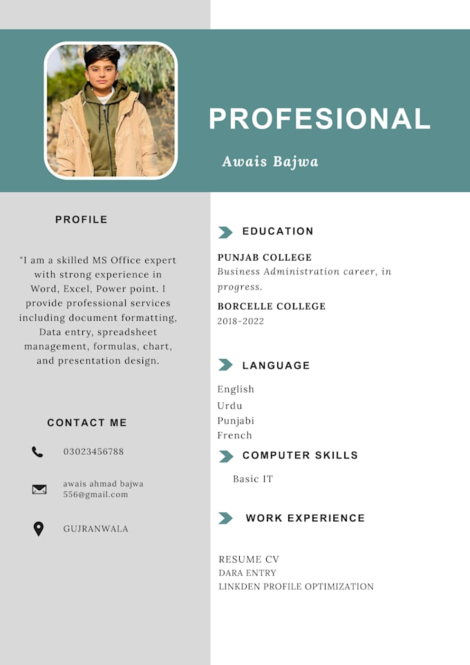 create a professional resume, linkedin profile, and cover letter