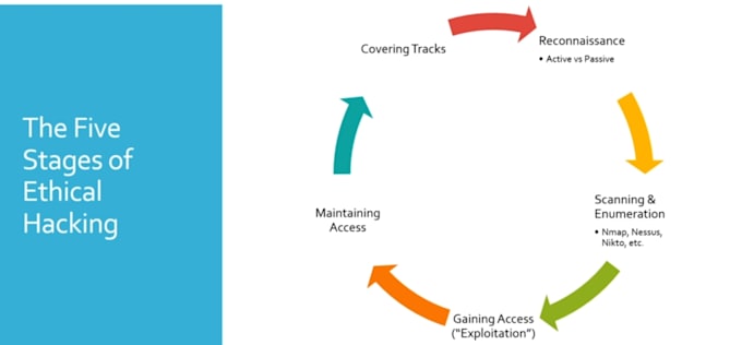 perform QA, bug testing, and penetration testing of your app