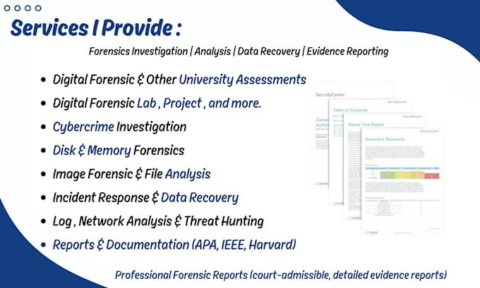do digital forensics , computer forensics task, lab, assessment and projects