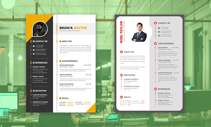 impressive professional graphical CV, resume design