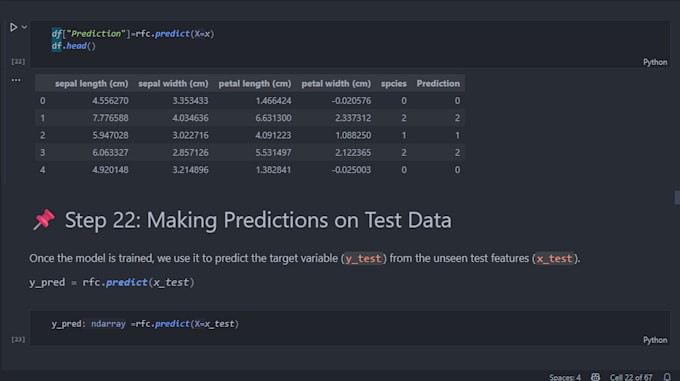 do provide professional data science and machine learning services