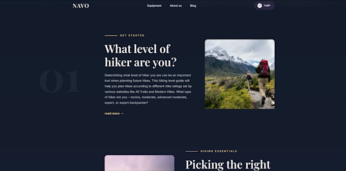 design and develop a professional full stack website