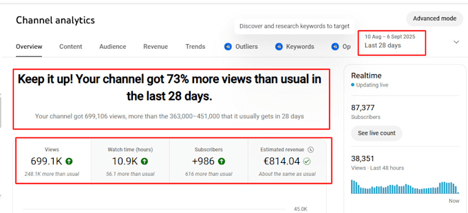 be your youtube SEO specialist or monetization
