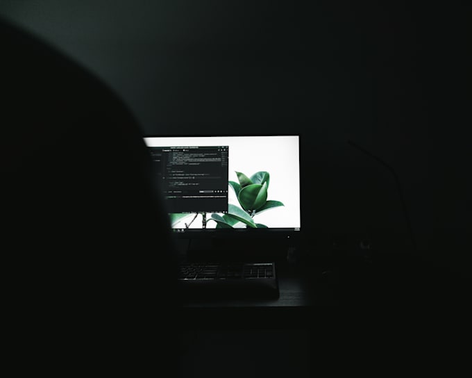 fix wordpress issues, website maintenance,wordpress