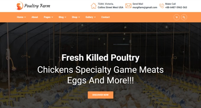 build squarespace dairy farm website ranch poultry website farmer website