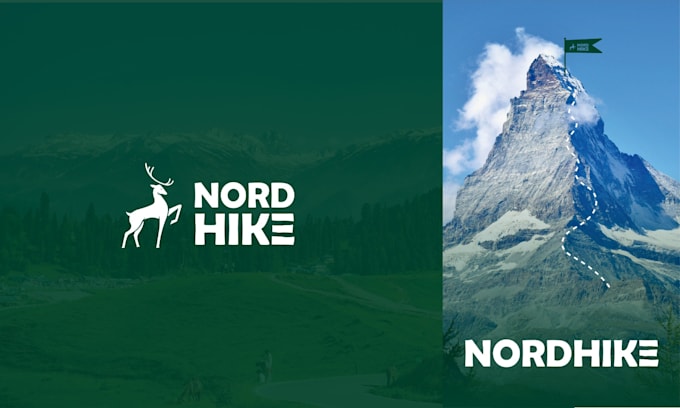 a professional logo desing