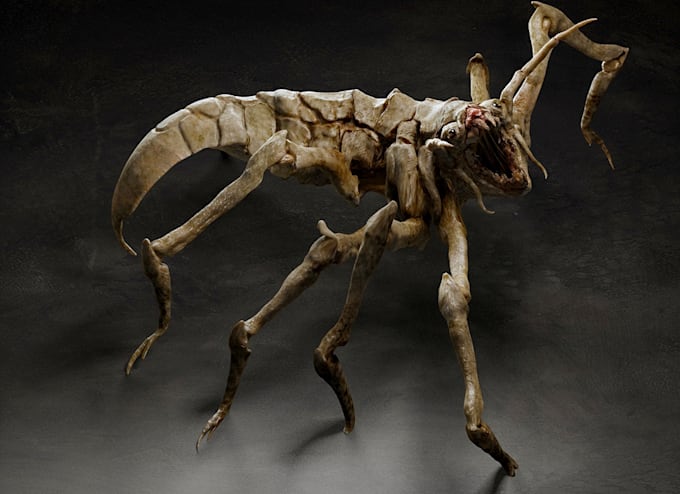 make a 3d model or animation for you