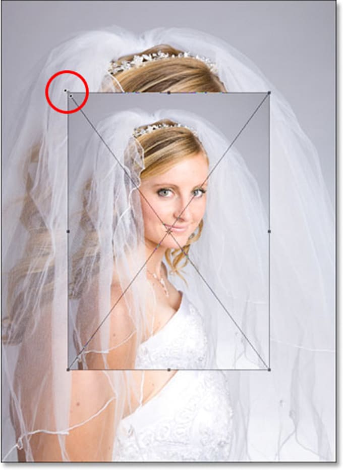 enlarge your image to any size without losing quality