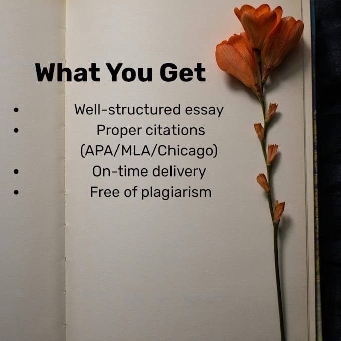 write high quality, well researched essays for you
