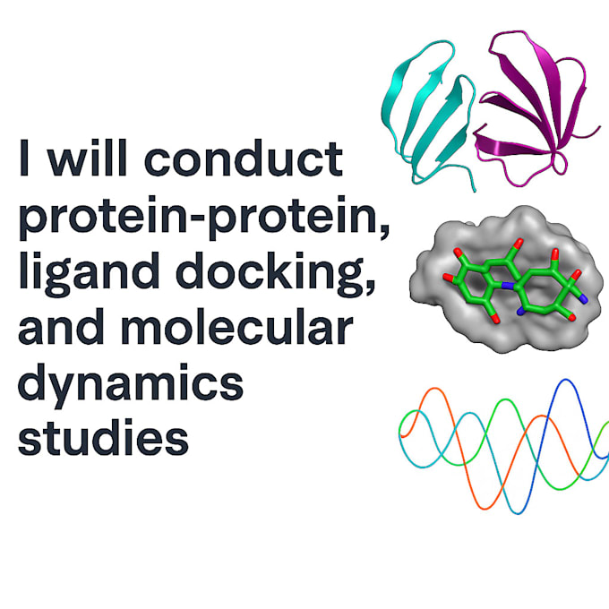 perform protein protein docking ligand docking MD and binding analysis