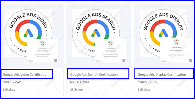 do advanced google ads audit and optimization for PPC campaign, performance max