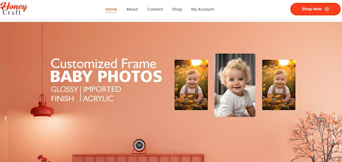 create ecommerce wordpress website, online store, shopping website