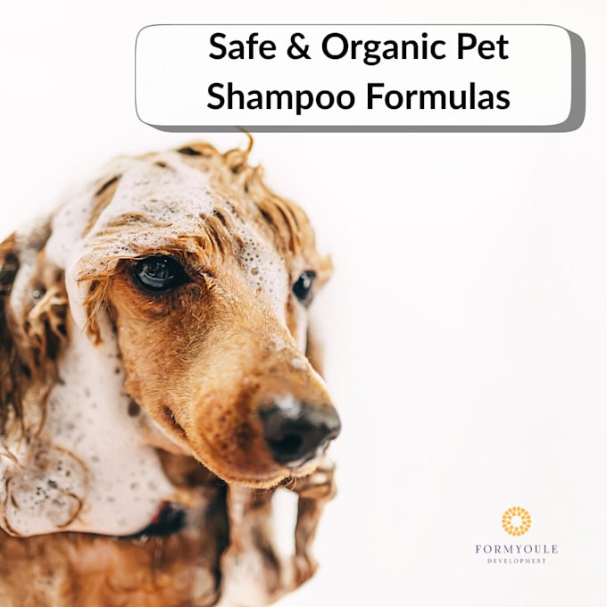 create custom natural and safe pet care formulations