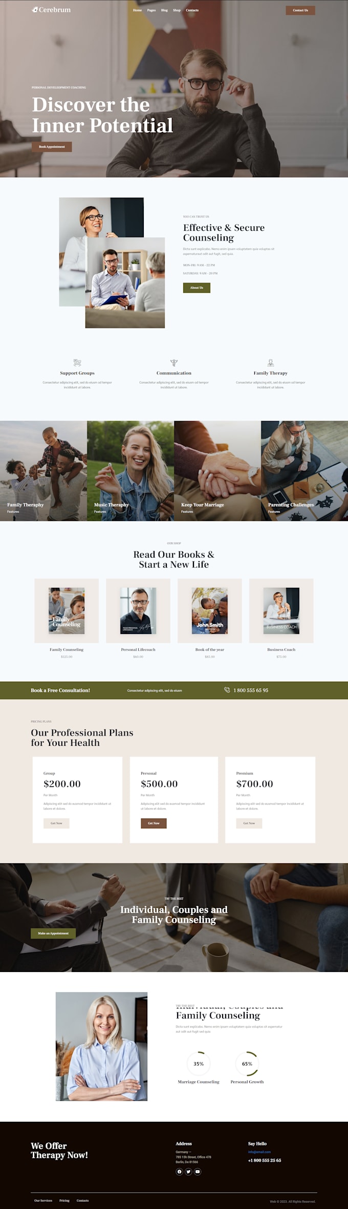 build, rebuild, design, redesign wordpress website development