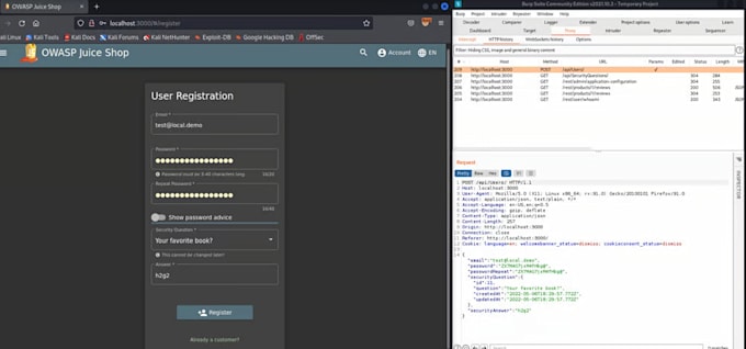 perform a professional web penetration test