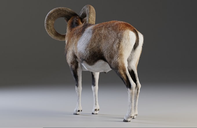 Be your 3d animal generalist, quadruped rig,furry model,idle animate ...