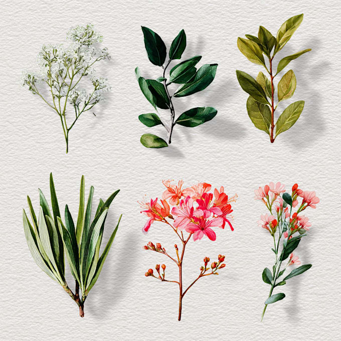 create digital botanical watercolor clipart