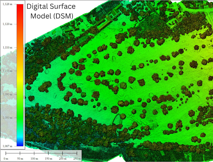 process drone images into orthomosaics and elevation models